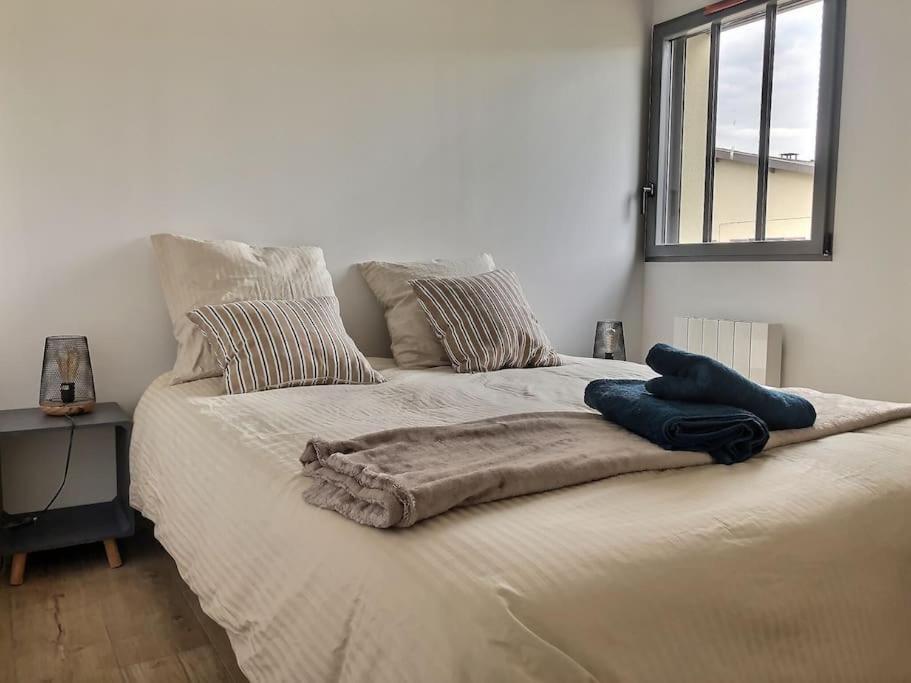 Charme Et Quietude Au Coeur Du Quartier Tiret Villa Ambérieu-en-Bugey Buitenkant foto